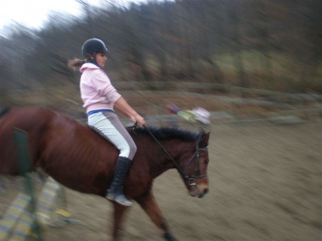 Hubertus 2010